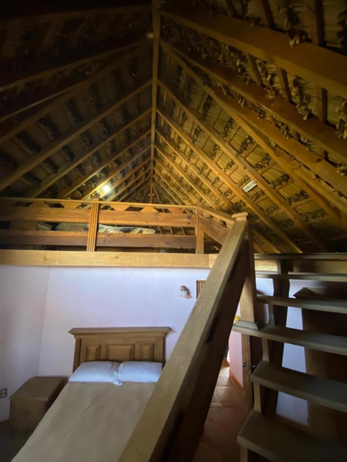 Ecoturismo Cabanas La Florida Cardonal Εξωτερικό φωτογραφία